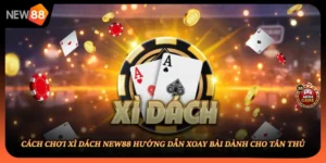 Cách Chơi Xì Dách NEW88 Hướng Dẫn Xoay Bài Dành Cho Tân Thủ