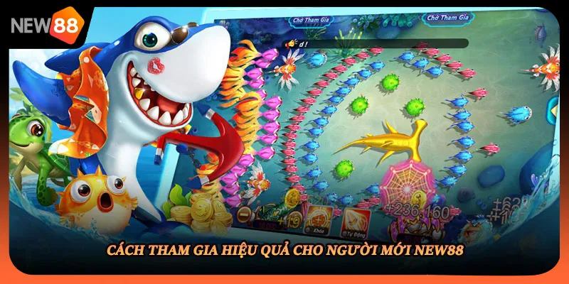 Cách tham gia hiệu quả cho người mới NEW88