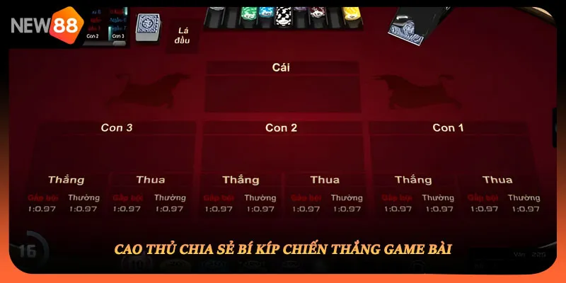 Cao thủ chia sẻ bí kíp chiến thắng game bài
