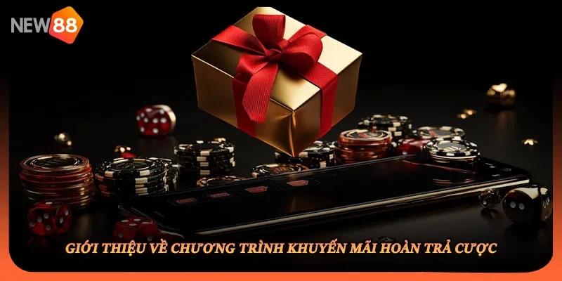 Giới thiệu về chương trình khuyến mãi hoàn trả cược