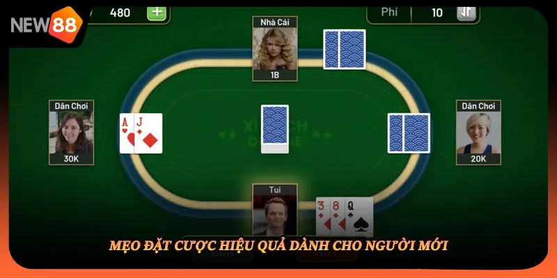 Mẹo đặt cược hiệu quả dành cho người mới