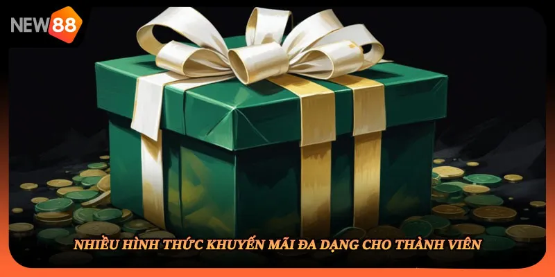 Nhiều hình thức khuyến mãi đa dạng cho thành viên