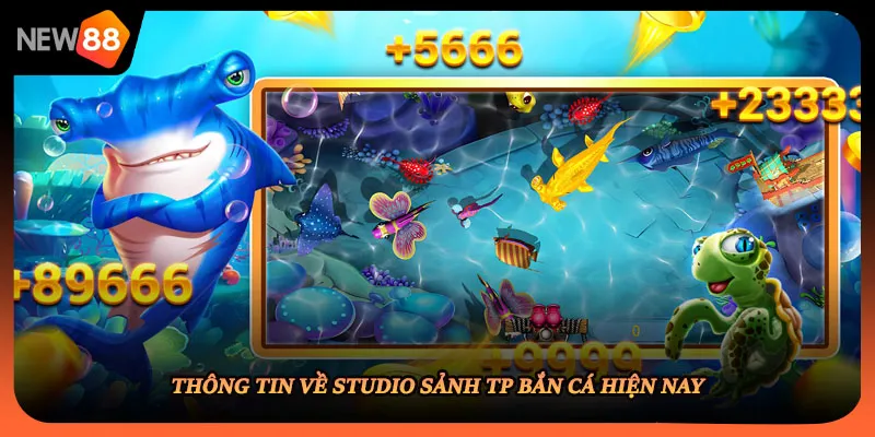 Thông tin về studio sảnh tp bắn cá hiện nay